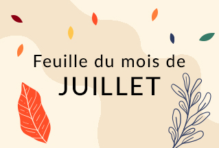 Juillet & Août 2025 – Feuille du mois