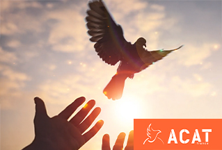 Annonce la croix de l’Avent de l’ACAT